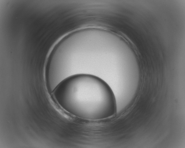 X0000083530788200702090719