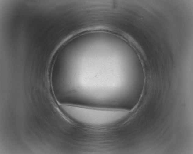 X0000083530789200702090719