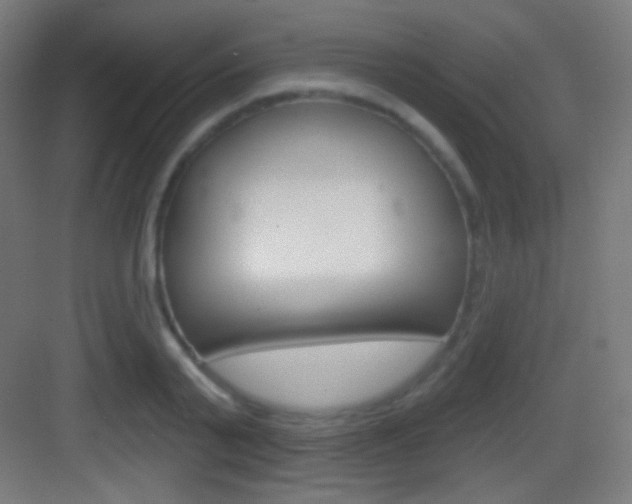 X0000083530791200702090719