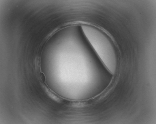 X0000083530793200702090719