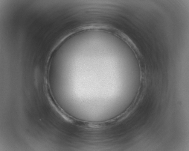 X0000083530794200702090719