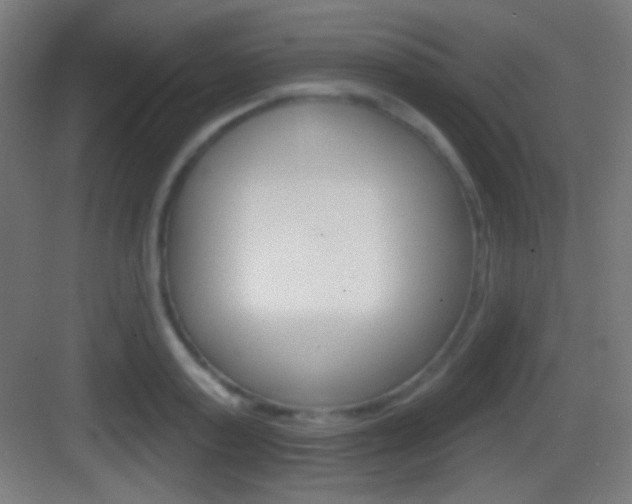 X0000083530795200702090719