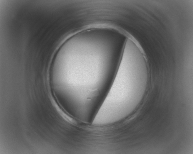 X0000083530803200702090718