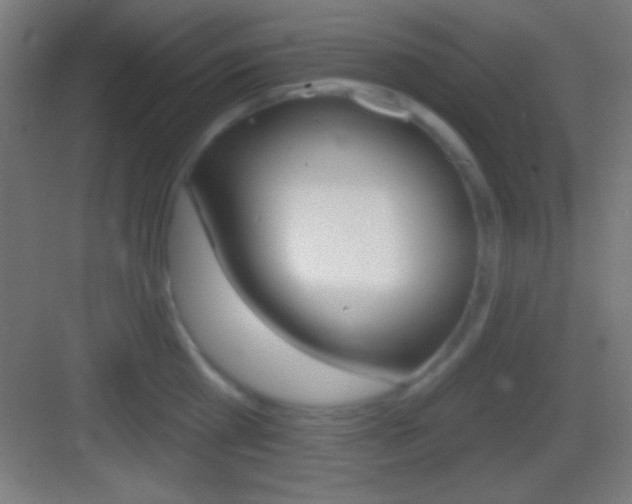 X0000083530809200702090718