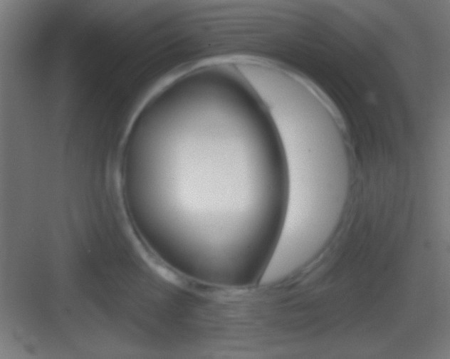 X0000083530813200702090718