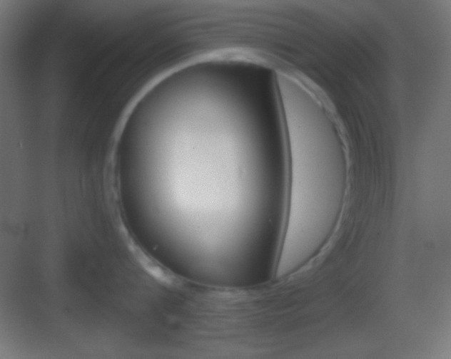X0000083530816200702090718