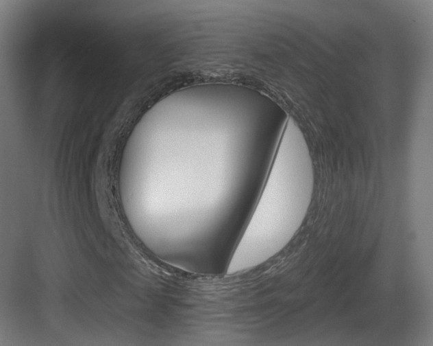 X0000083530817200702090717