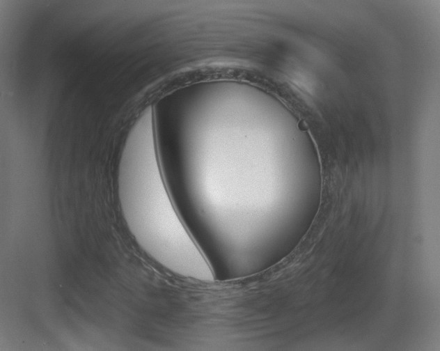 X0000083530821200702090717