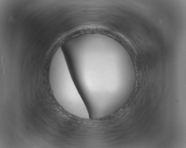 X0000083530823200702090717