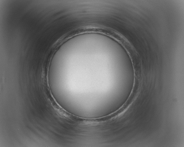 X0000083530825200702090718