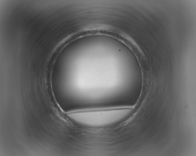 X0000083530826200702090718