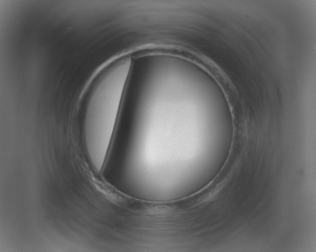X0000083530830200702090718