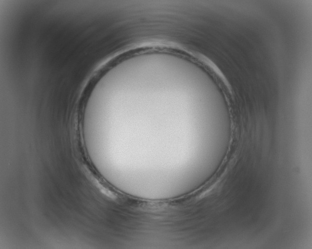 X0000083530831200702090718