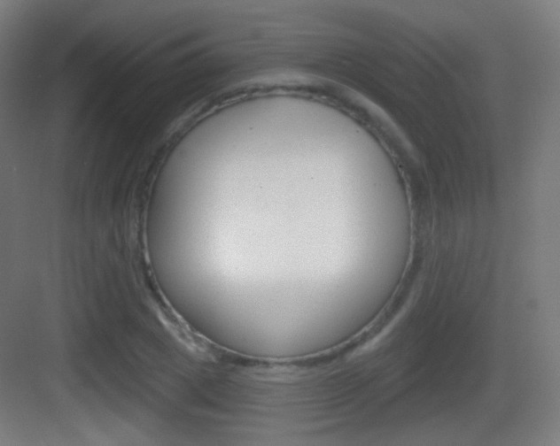X0000083530833200702090718