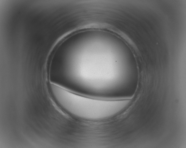 X0000083530838200702090718
