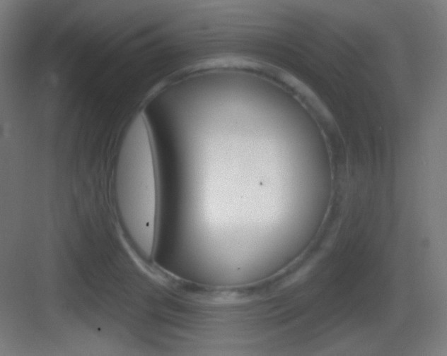 X0000083530841200702090718