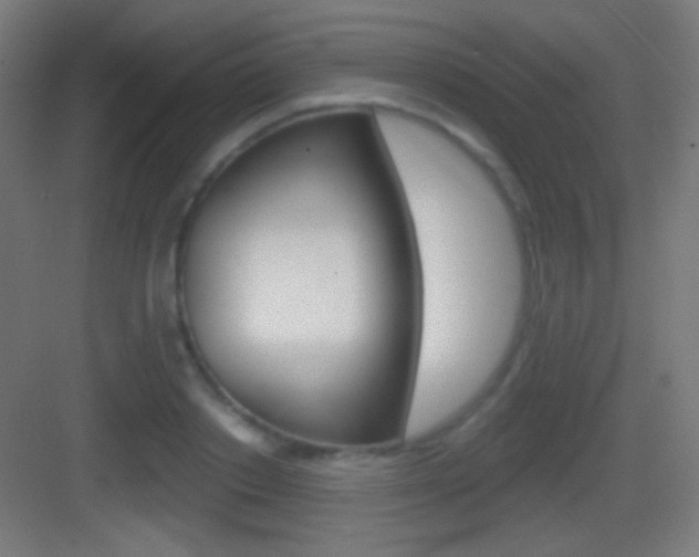 X0000083530842200702090718