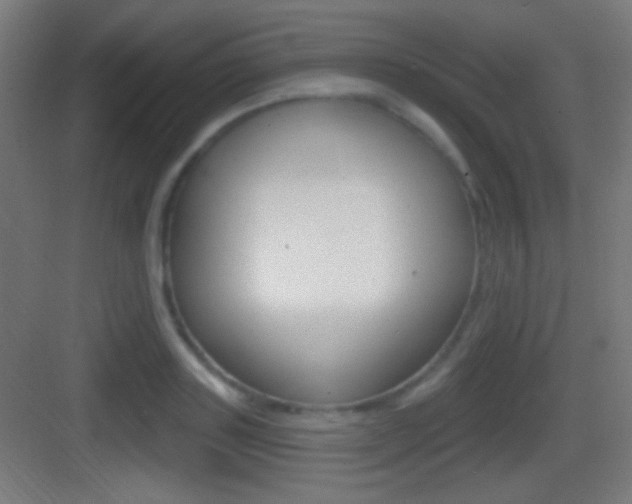 X0000083530843200702090718