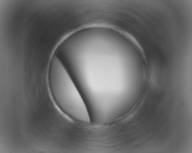 X0000083530847200702090718