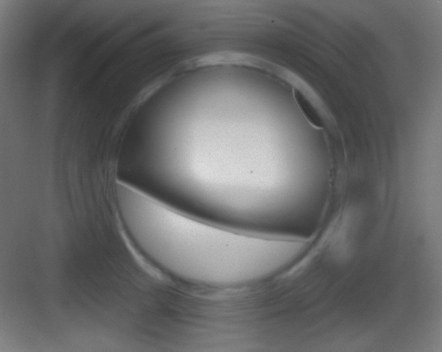X0000083530849200702090718