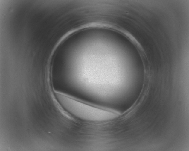 X0000083530854200702090718