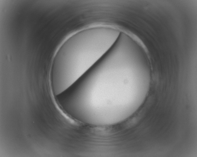 X0000083530855200702090718