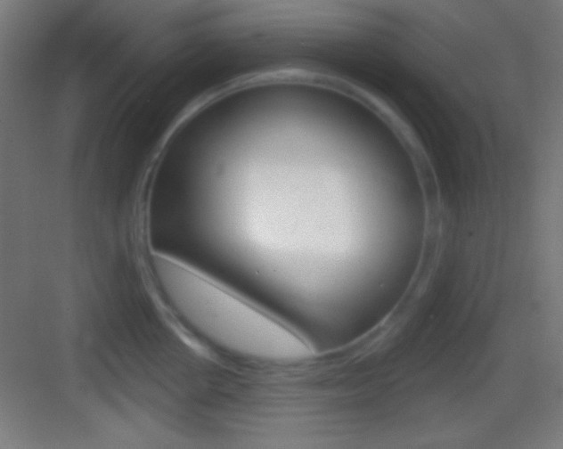 X0000083530858200702090718