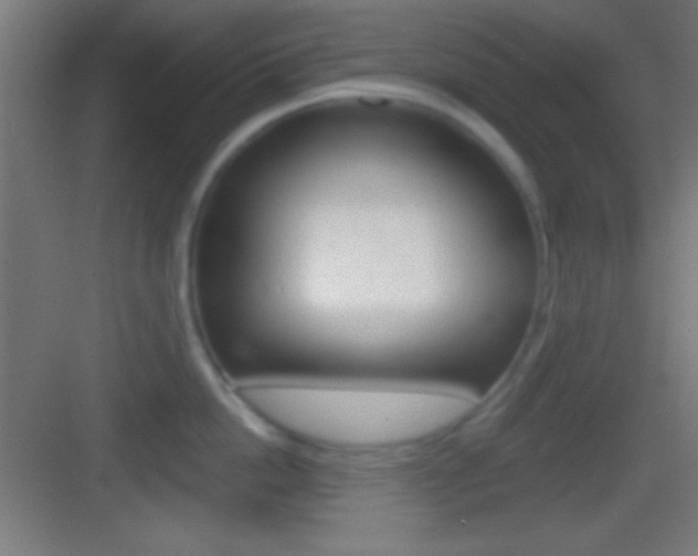 X0000083530862200702090718