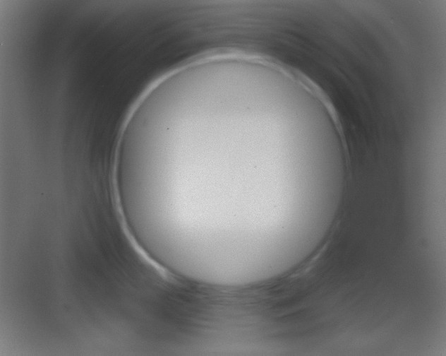 X0000083530863200702090718