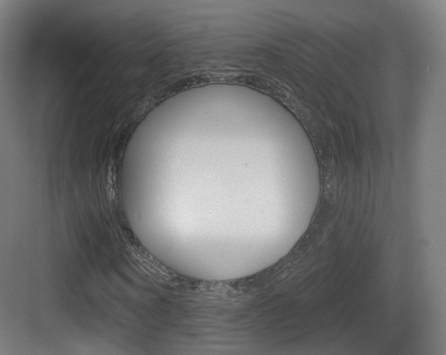 X0000083530866200702090717