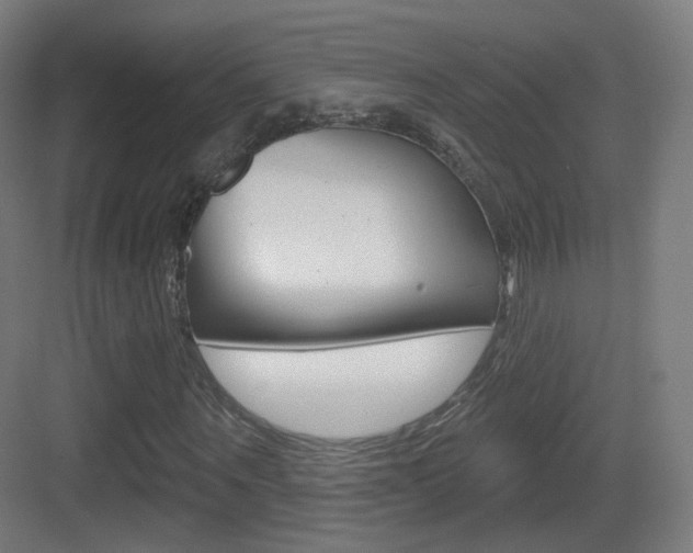 X0000083530867200702090717