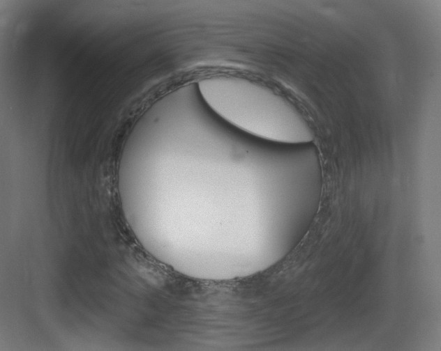 X0000083530870200702090717
