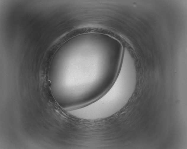 X0000083530872200702090717