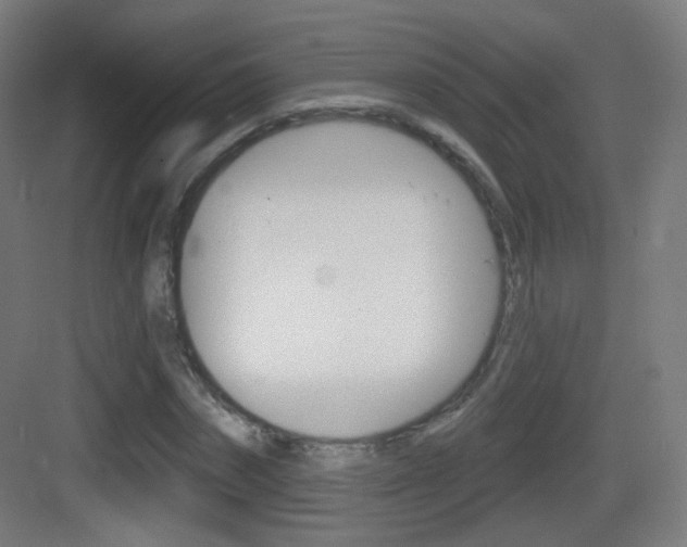 X0000083530874200702090717