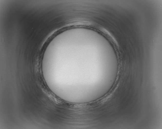 X0000083530875200702090717