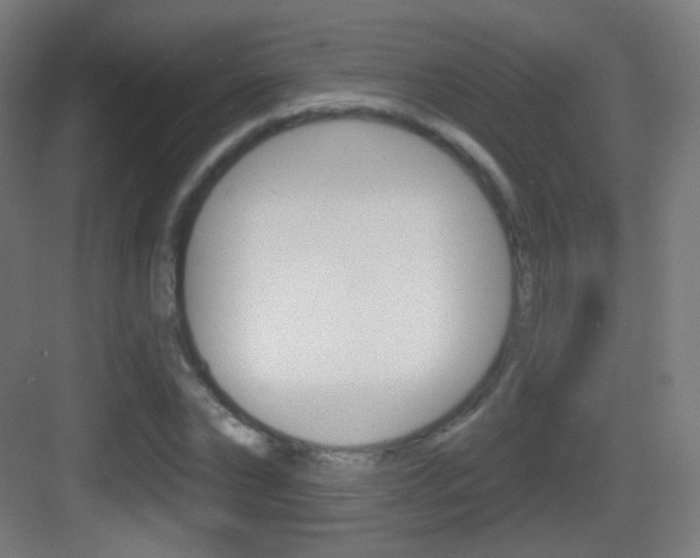 X0000083530878200702090717