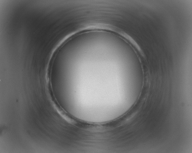 X0000083530885200702090717