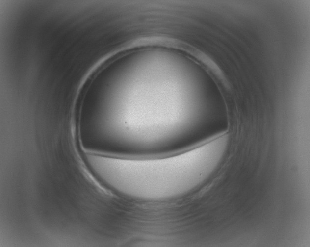 X0000083530888200702090717