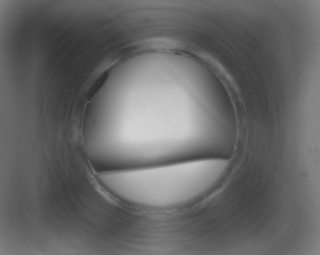X0000083530889200702090717