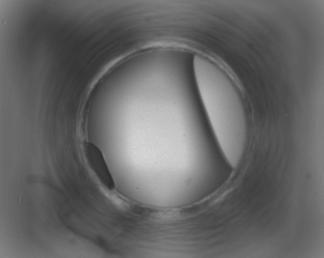 X0000083530893200702090717