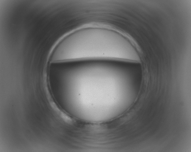X0000083530896200702090717