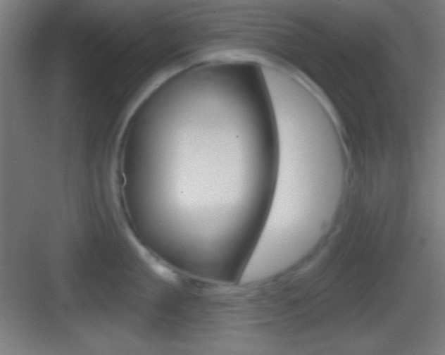 X0000083530909200702090717