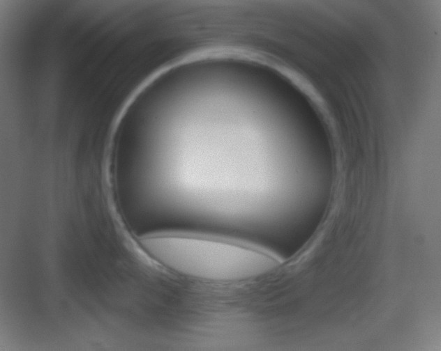 X0000083530912200702090717
