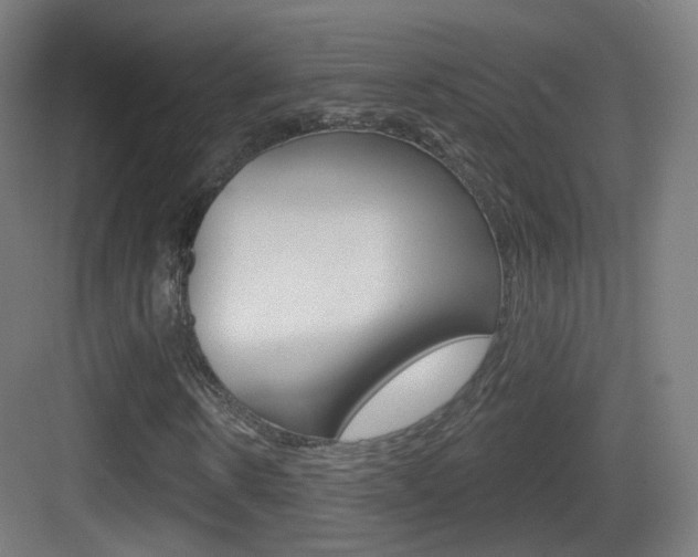 X0000083530914200702090716