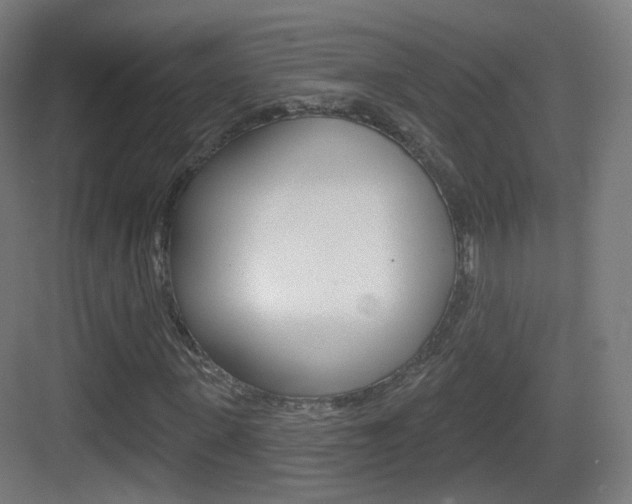 X0000083530915200702090716