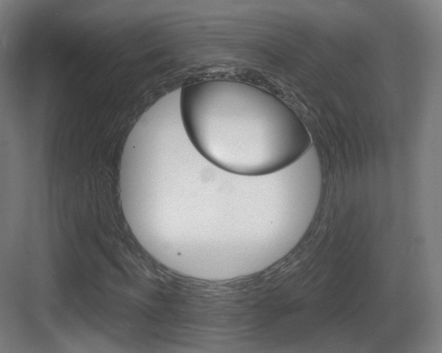 X0000083530916200702090716