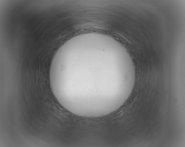 X0000083530917200702090716