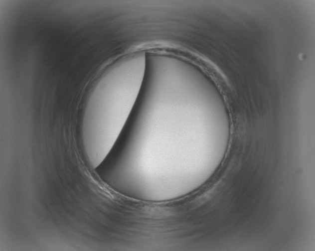 X0000083530921200702090716