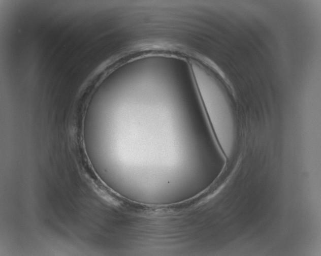 X0000083530922200702090716