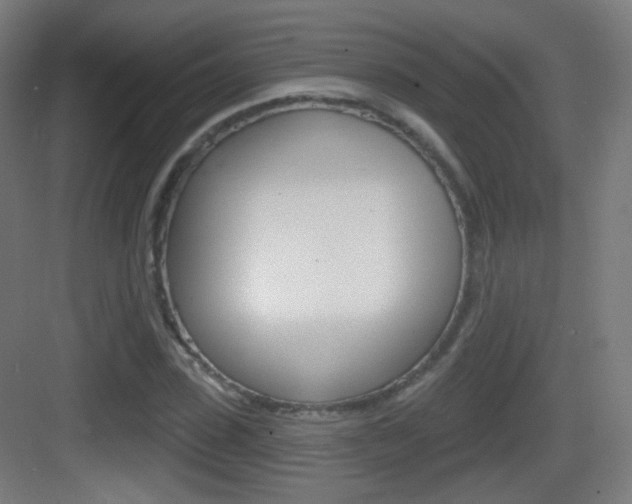 X0000083530923200702090716